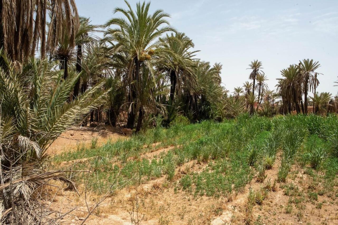 Maison Etoile Du Desert Aït Boukha Εξωτερικό φωτογραφία