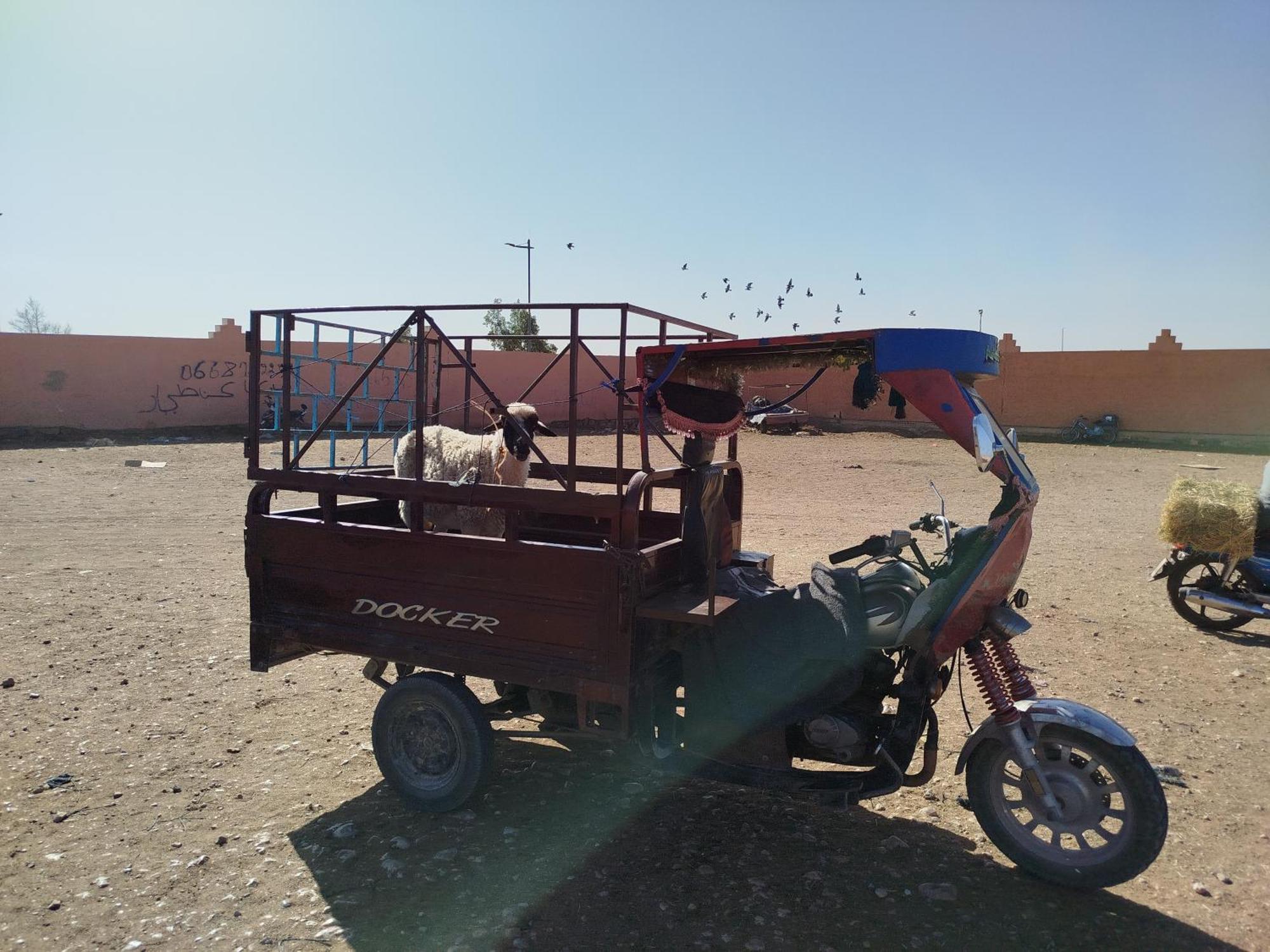 Maison Etoile Du Desert Aït Boukha Εξωτερικό φωτογραφία